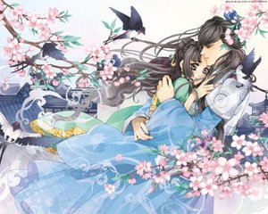 张金鱼吕总在线